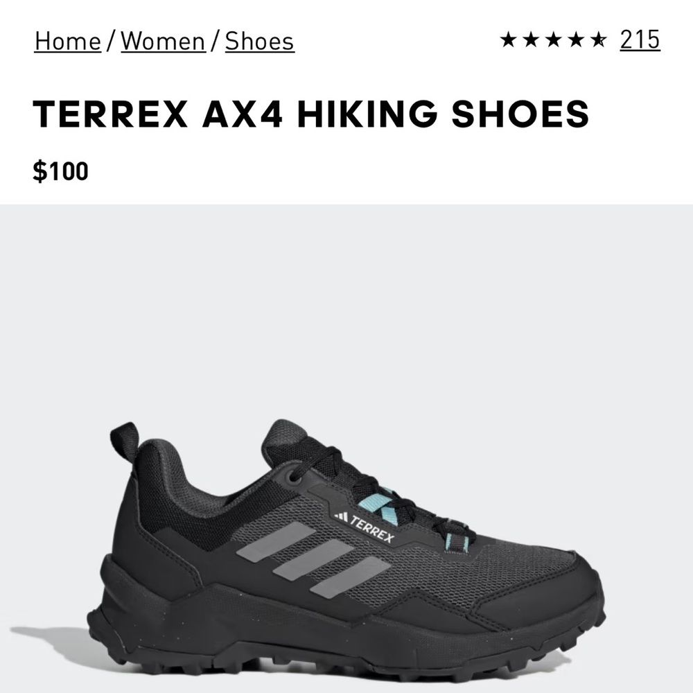 Adidas Terrex Hiking Shoes